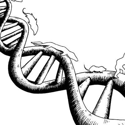 DNA molecule evolution illustration